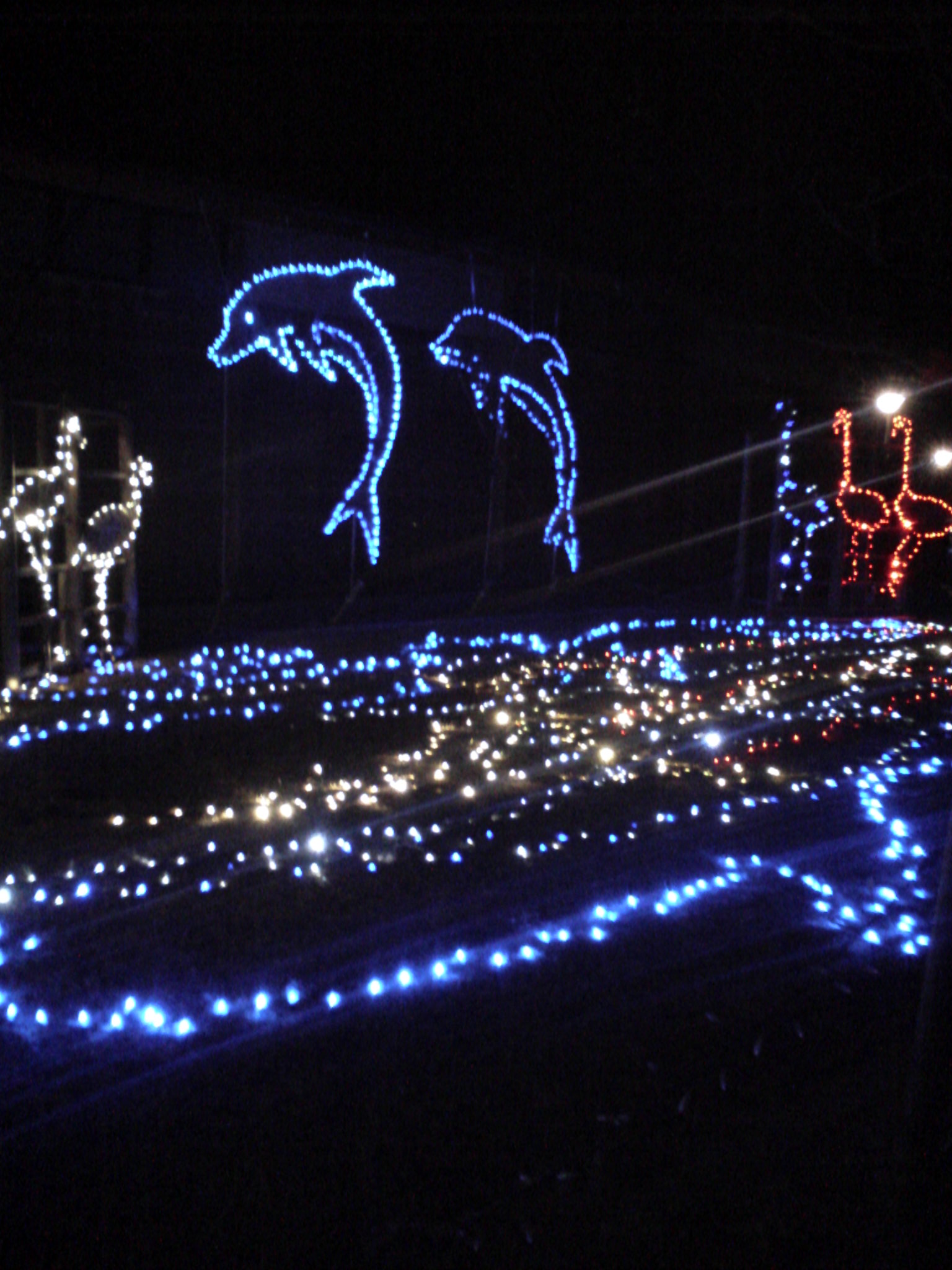 パークイルミネーションinさんだ