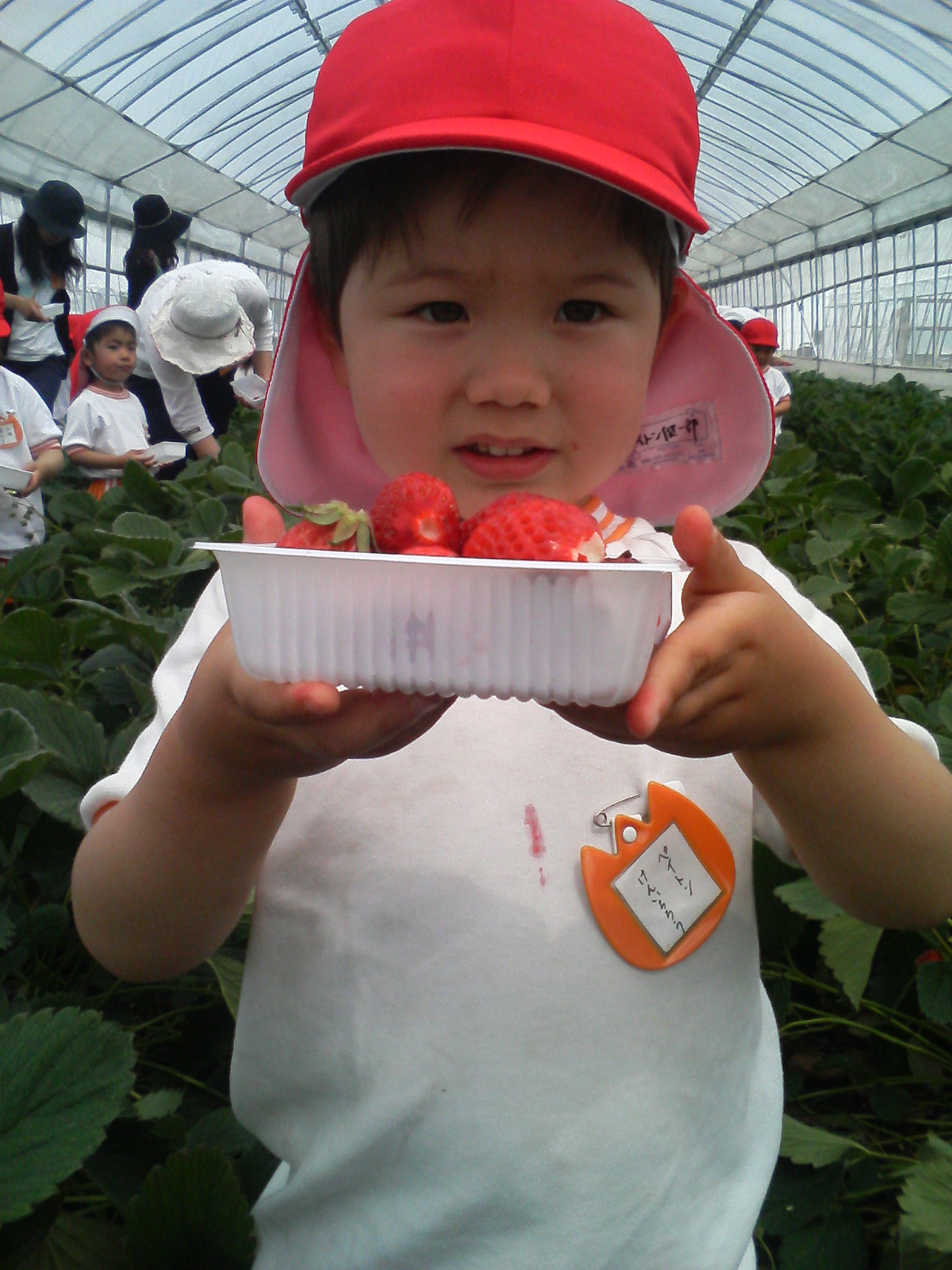 苺狩り遠足