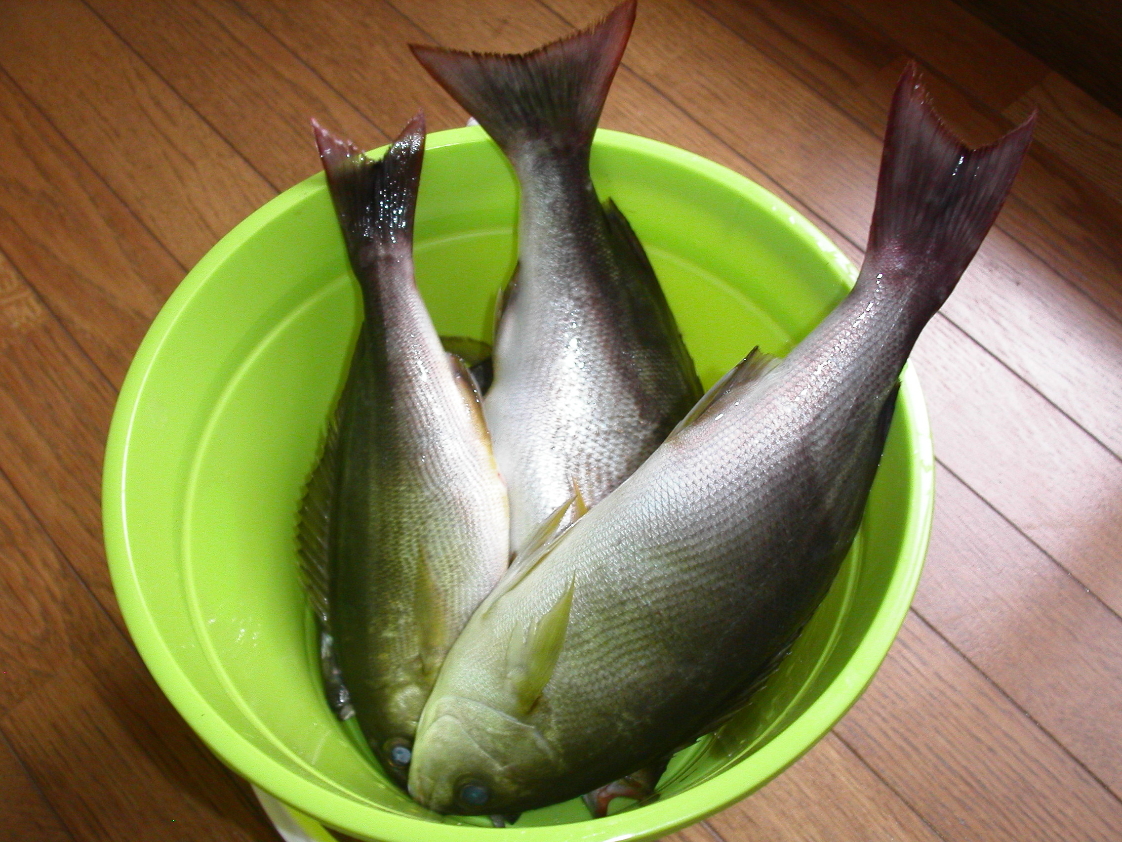 贅沢な食卓
